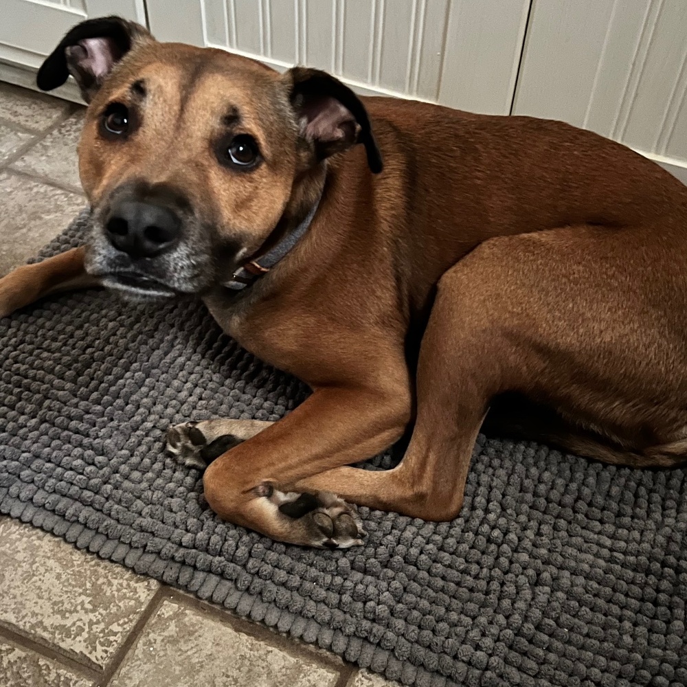 Meet your Posher, Maison